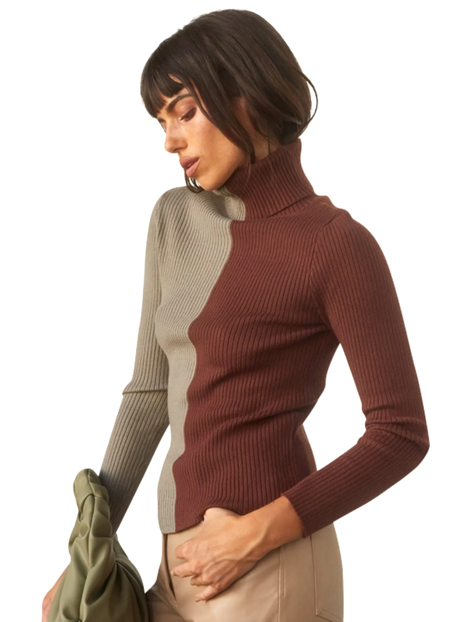 Crescent Stacy Color Block Knit Turtleneck Top