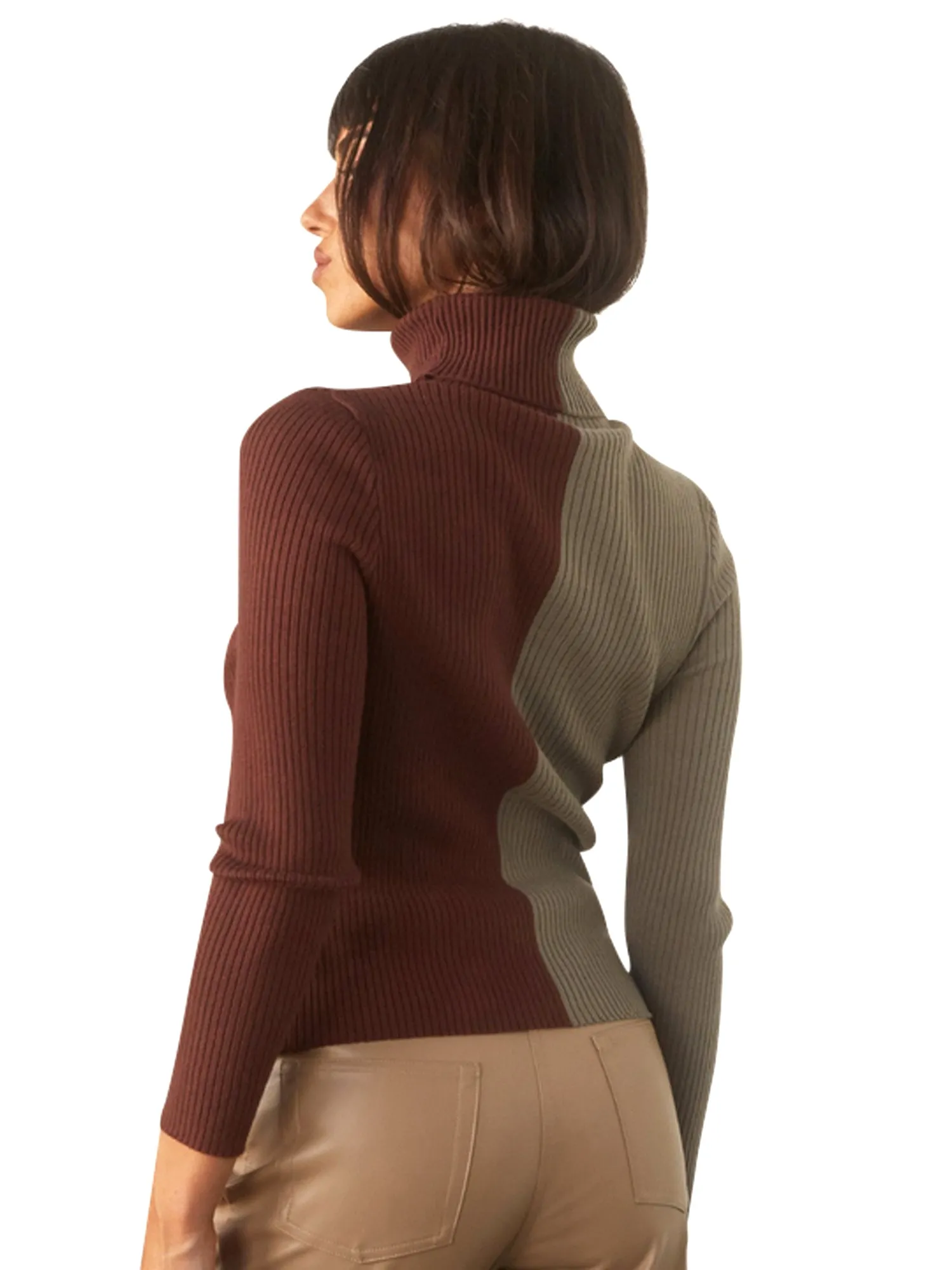 Crescent Stacy Color Block Knit Turtleneck Top