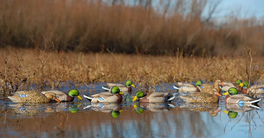 GHG Pro-Grade XD Series Mallard Decoys - Active Pack