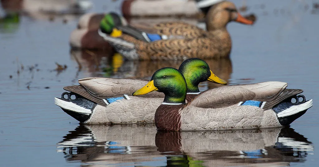 GHG Pro-Grade XD Series Mallard Decoys - Active Pack