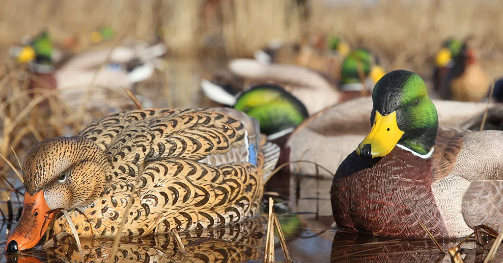 GHG Pro-Grade XD Series Mallard Decoys - Active Pack