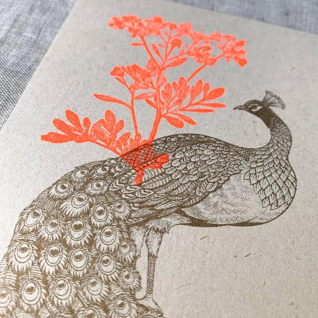 Peacock Floral Risography Postcard